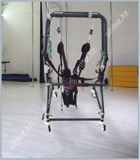 WALKERS WITH BODY SUPPORT